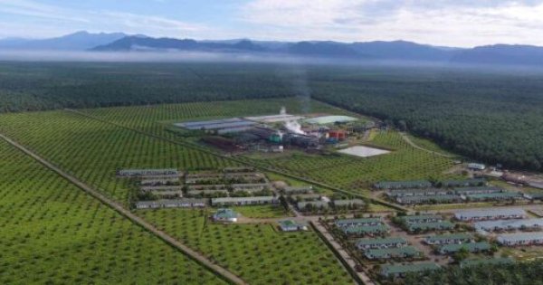 Wilmar Buka Lowongan Besar-besaran di Pabrik Sawit Sumatera & Kalimantan