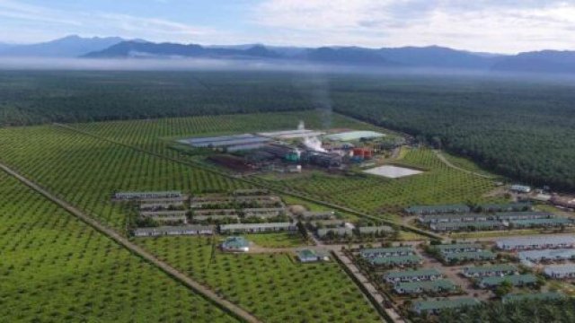 Wilmar group membuka  loker untuk sektor perkebunan Kelapa Sawit di Sumatera dan Kalimantan ( doc: wilmar.co.id)
