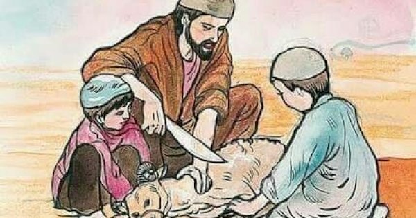 Belum Diaqiqahi Saat Kecil, Apakah Masih Bisa Berkurban?