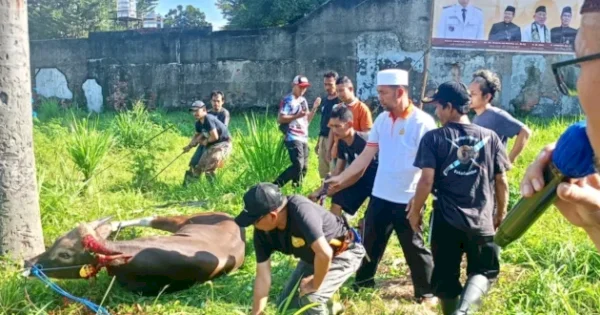 DPP Permata MHT Bagi 350 Paket Daging Idul Adha