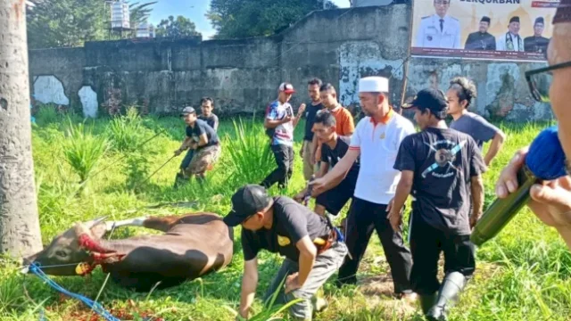 Relawan Permata MHT tengah memotong dan mengemas daging kurban sebelum didistribusikan ke 350 paket. (Dok. Permata MHT)