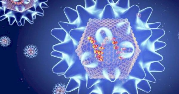 Waspada Hantavirus: Gejala, Cara Penularan, dan Pencegahan yang Wajib Diketahui