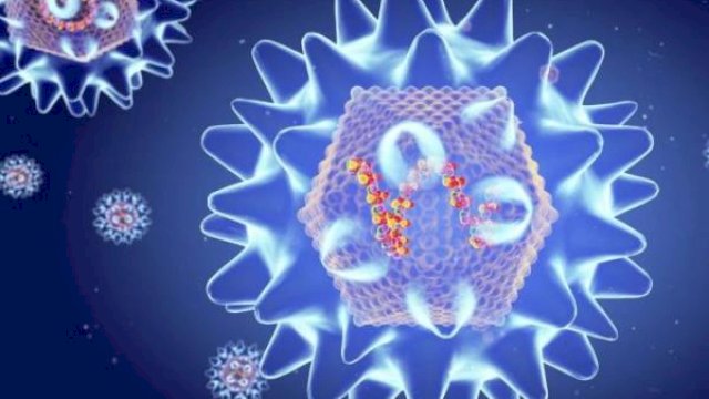 Hantavirus, virus langka yang umumnya ditularkan dari hewan pengerat ke manusia (Foto/dok: Live Science)