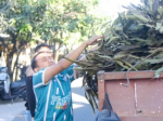 DPMPTSP Makassar Kerja Bakti Dukung Gunung Sari Hadapi Penilaian Kelurahan Tingkat Nasional
