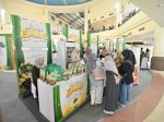Pegadaian Dorong UMKM dan Literasi Investasi Emas Lewat Pameran di Mal Panakkukang