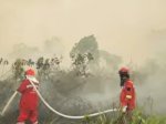 Pemadaman Karhutla Manfaatkan Air Kolam Warga, Ini Kata BNPB