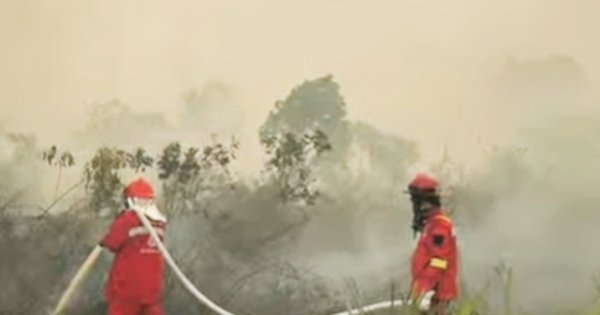 Pemadaman Karhutla Manfaatkan Air Kolam Warga, Ini Kata BNPB