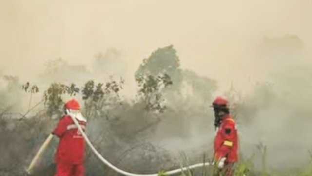 Penanganan karhutla (BNPB) 