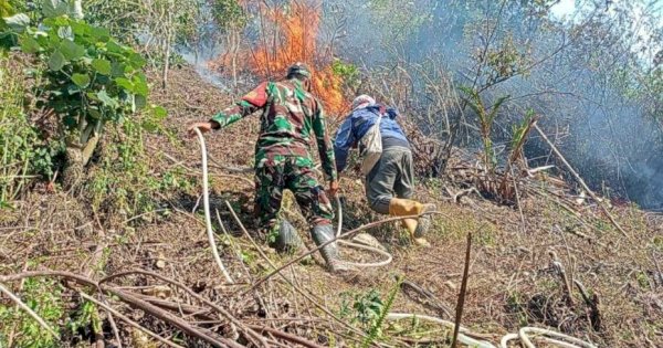 Kodim 1419 Enrekang Gerak Cepat Tangani Karhutla di Medan Terjal