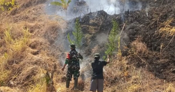Sinergi TNI-Polri Bersama Manggala Agni dan Warga Padamkan Kebakaran Lahan di Gowa