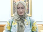 Presiden Berhentikan Wagub Babel Buntut Dugaan Ijazah Palsu