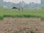 Kekeringan, Ratusan Hektar Area Persawahan di Gowa – Takalar Terancam Gagal Panen