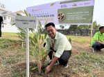 Dukung Gerakan Sejuta Pohon, GMTD Tanam 50 Tabebuya di Kawasan Tanjung Bunga